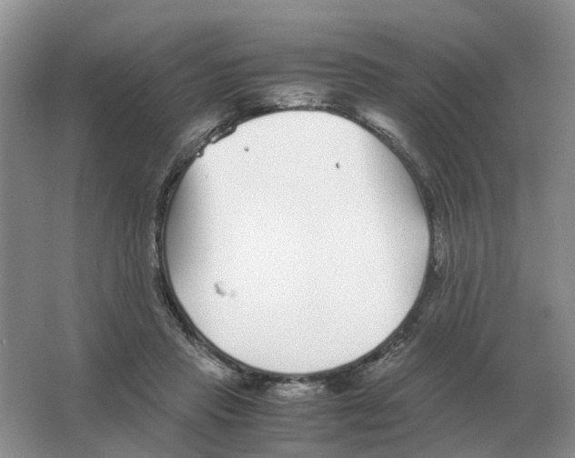 X0000063520453200602172219