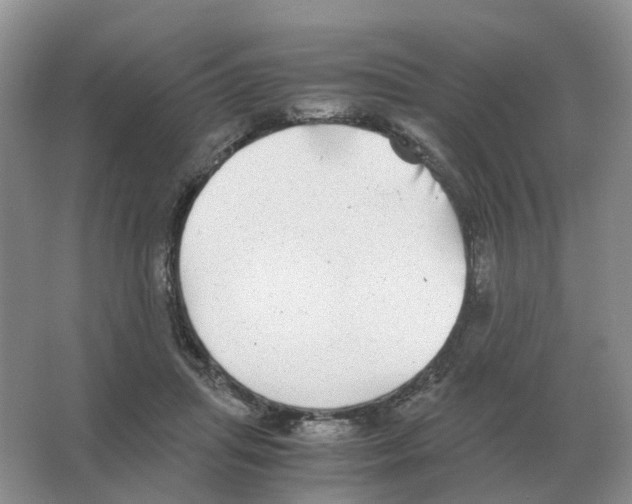 X0000063520455200602172219