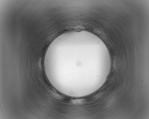 X0000063520461200602172219