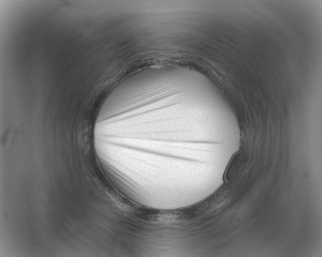 X0000063520462200602172219