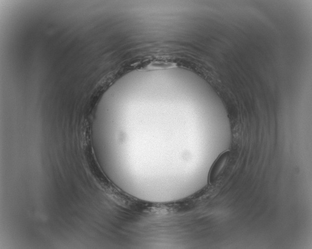 X0000063520464200602172219