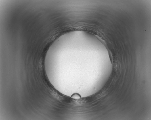 X0000063520466200602172219