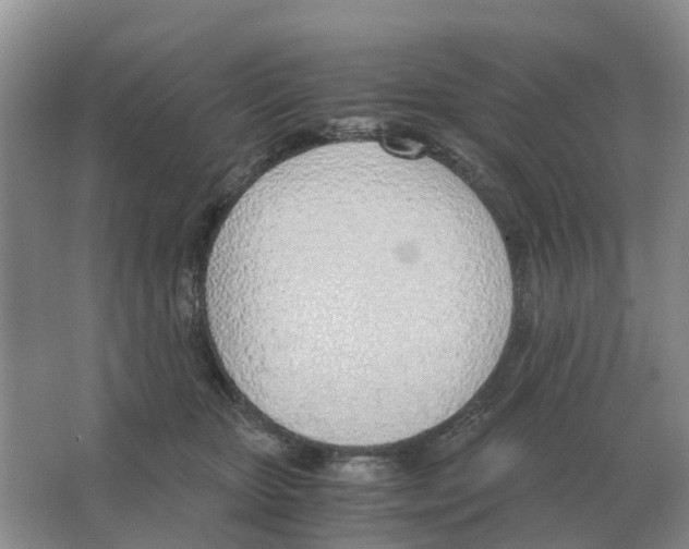 X0000063520467200602172219