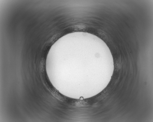 X0000063520468200602172219