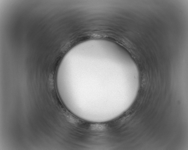 X0000063520469200602172219