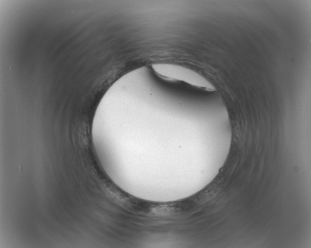 X0000063520470200602172219