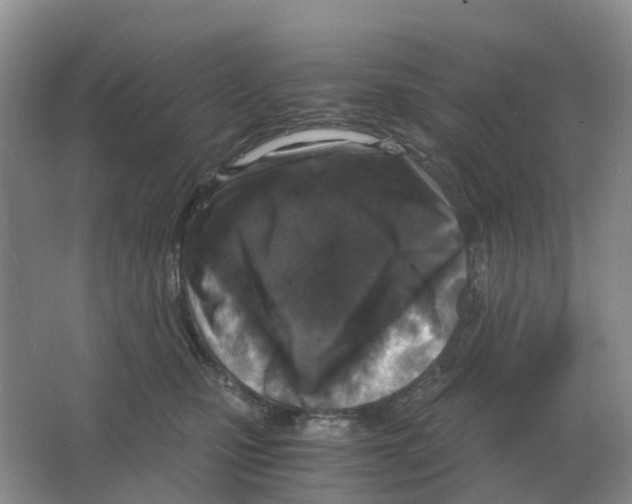 X0000063520471200602172219