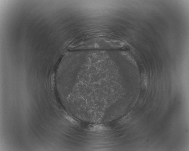 X0000063520475200602172219