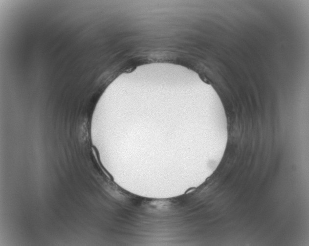 X0000063520478200602172219