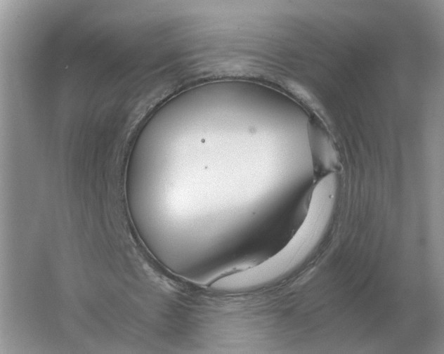 X0000063520481200602172218