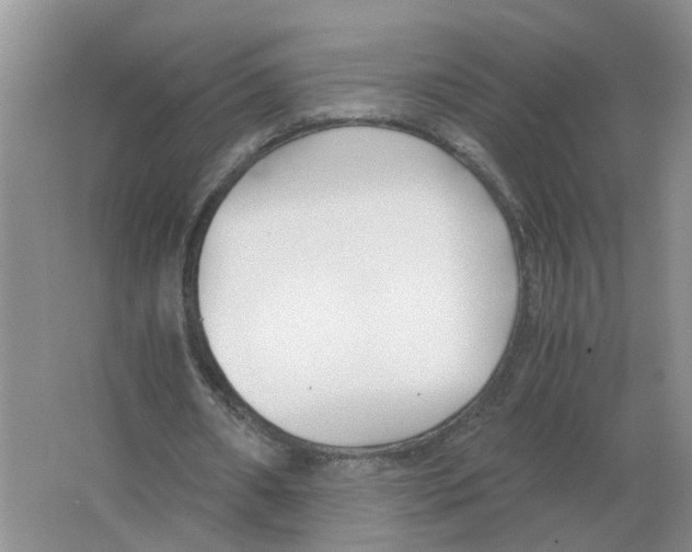 X0000063520482200602172218