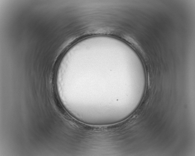 X0000063520483200602172218