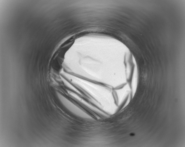 X0000063520484200602172218