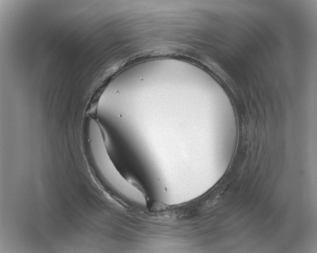 X0000063520485200602172218