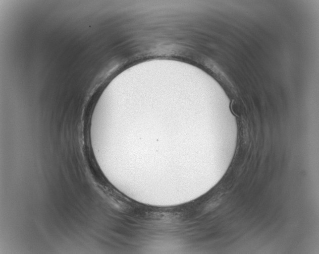 X0000063520486200602172218