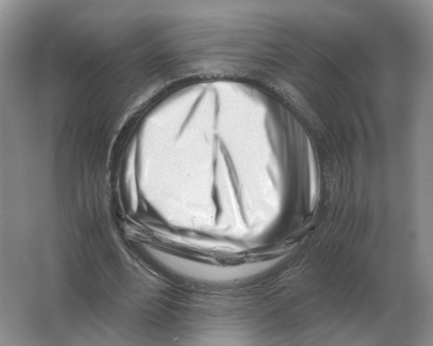 X0000063520488200602172218