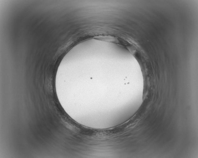 X0000063520489200602172218