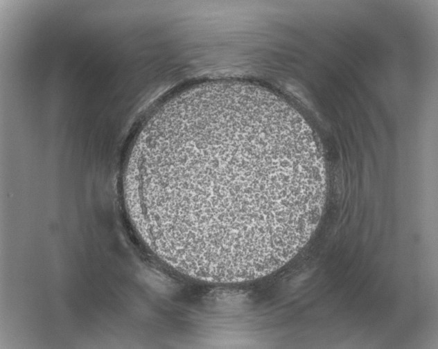 X0000063520491200602172218