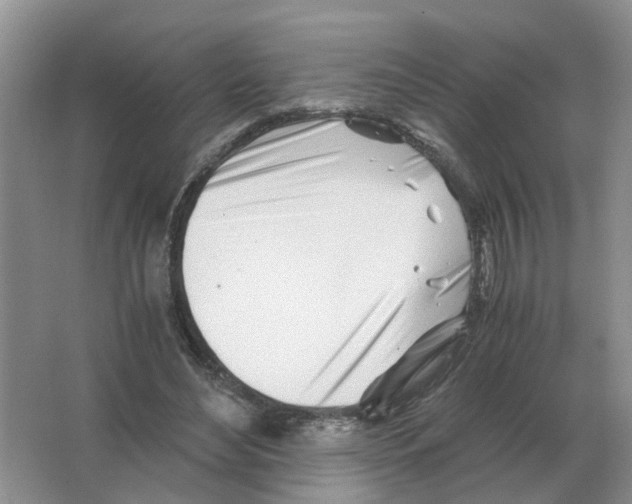 X0000063520492200602172218