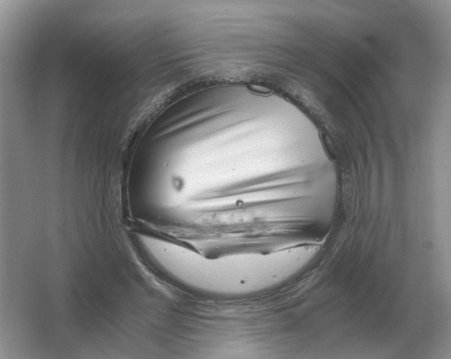 X0000063520493200602172218