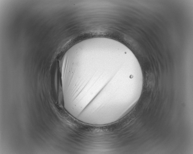 X0000063520494200602172218