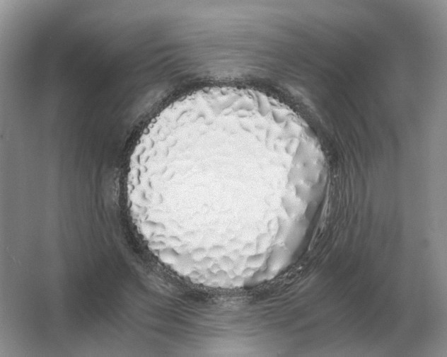 X0000063520495200602172218