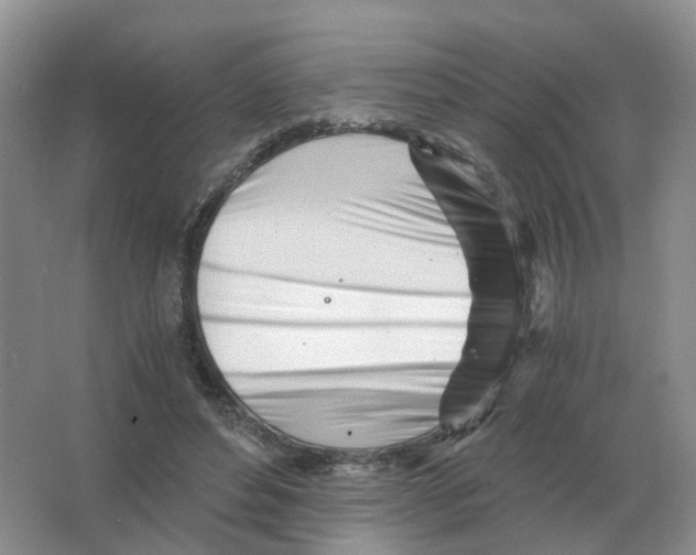 X0000063520496200602172218