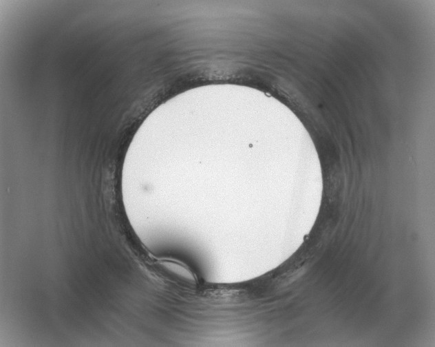 X0000063520497200602172218