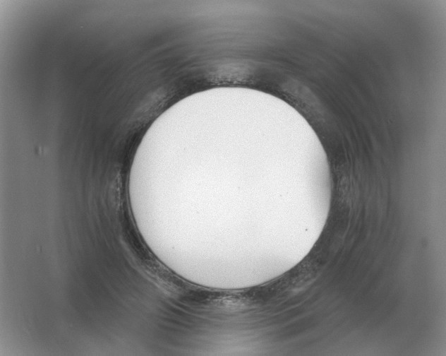 X0000063520498200602172218