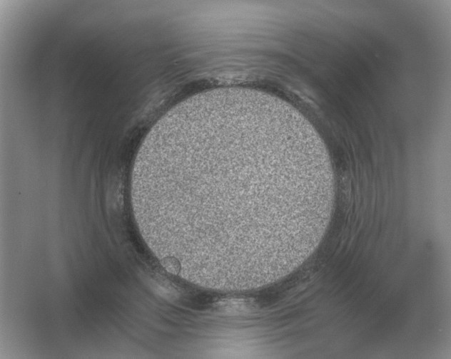 X0000063520499200602172218