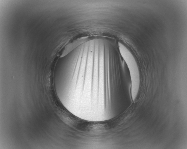 X0000063520501200602172218