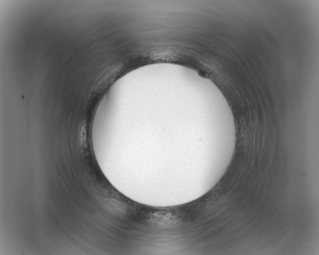 X0000063520502200602172218