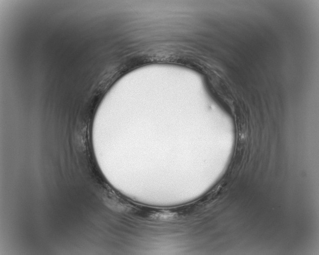 X0000063520503200602172218