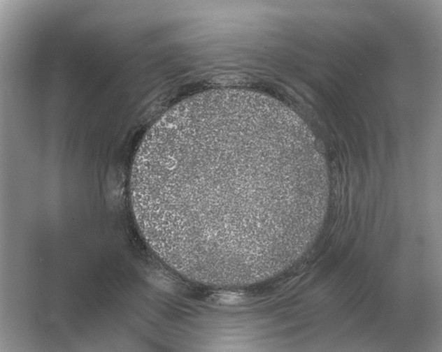 X0000063520507200602172218