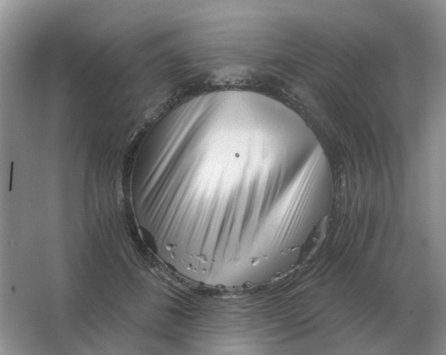 X0000063520508200602172218