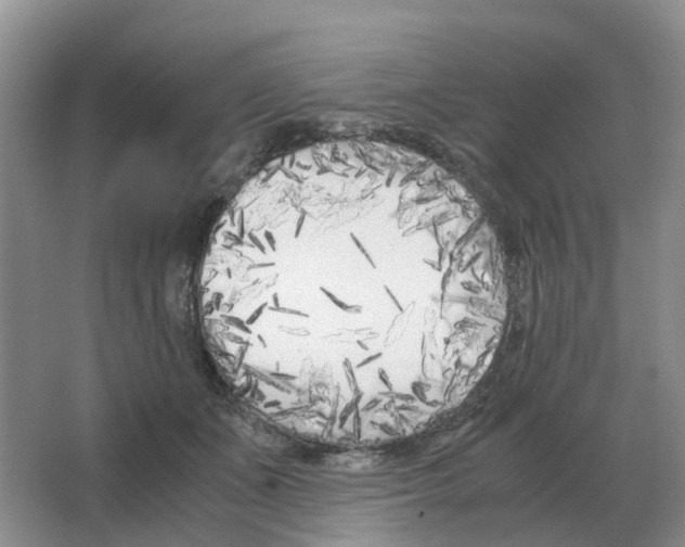 X0000063520511200602172218