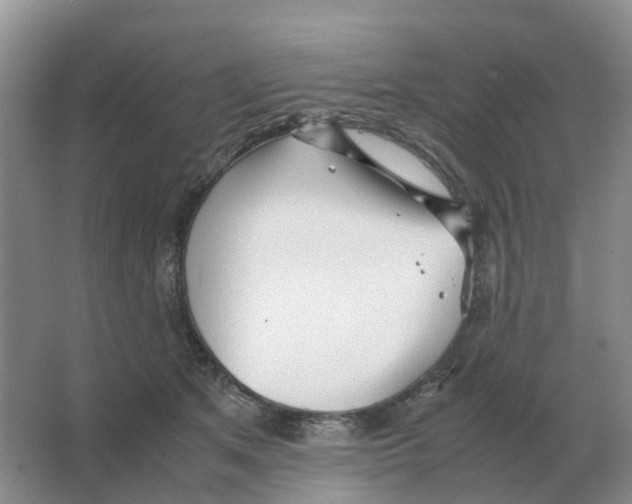 X0000063520513200602172218