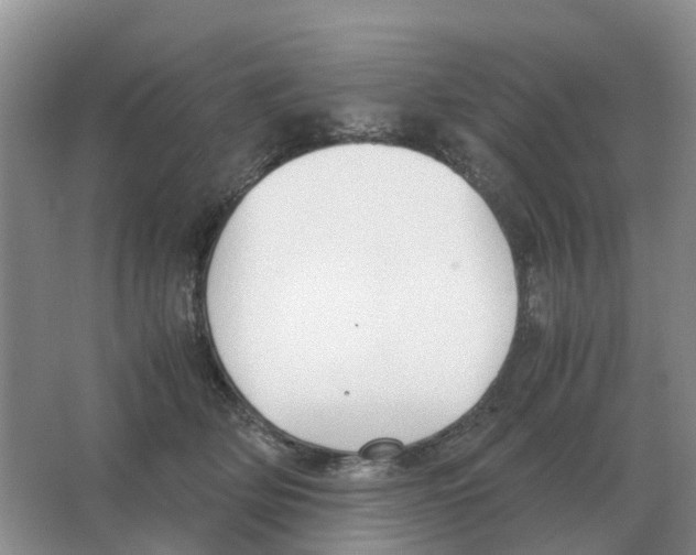 X0000063520514200602172218