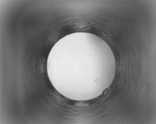 X0000063520515200602172218