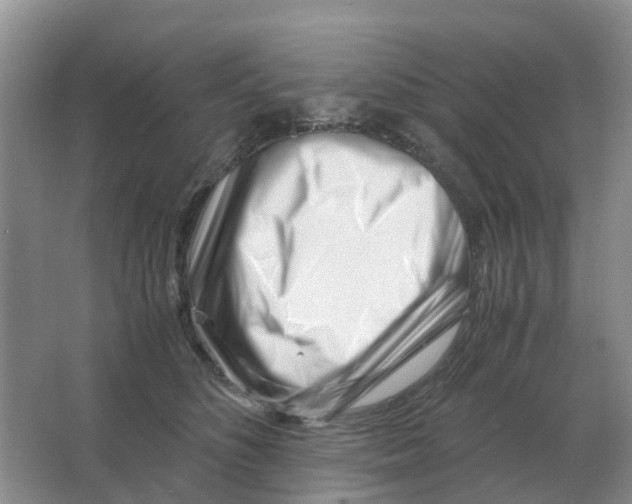 X0000063520516200602172218