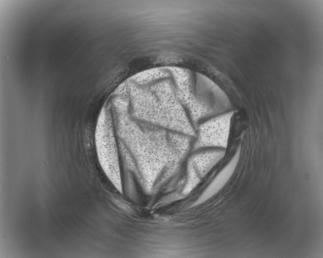 X0000063520517200602172218