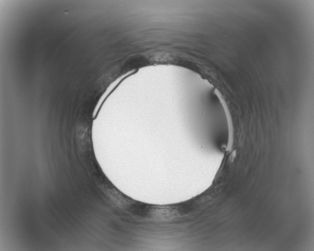 X0000063520521200602172218