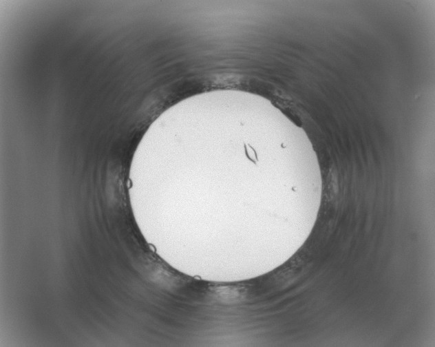 X0000063520522200602172218