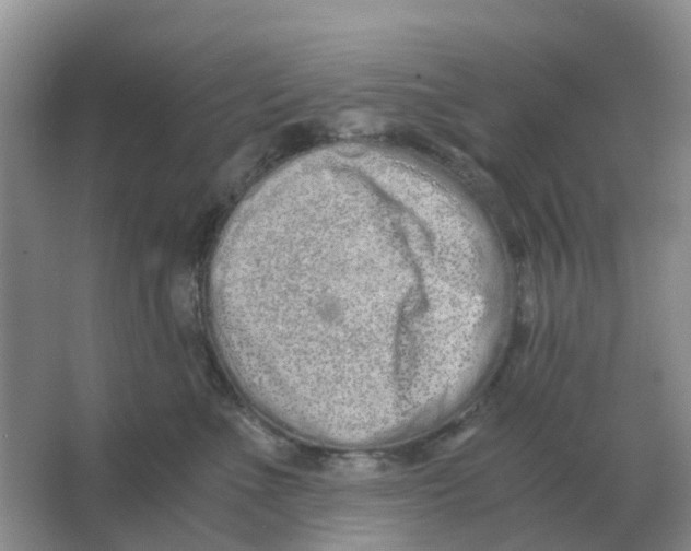 X0000063520523200602172218