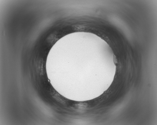 X0000063520525200602172218