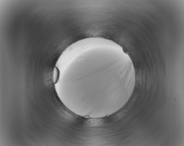 X0000063520526200602172218