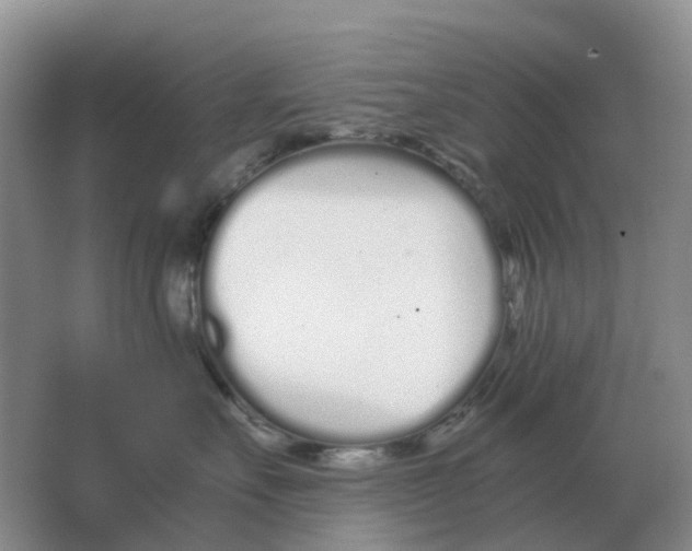 X0000063520527200602172218