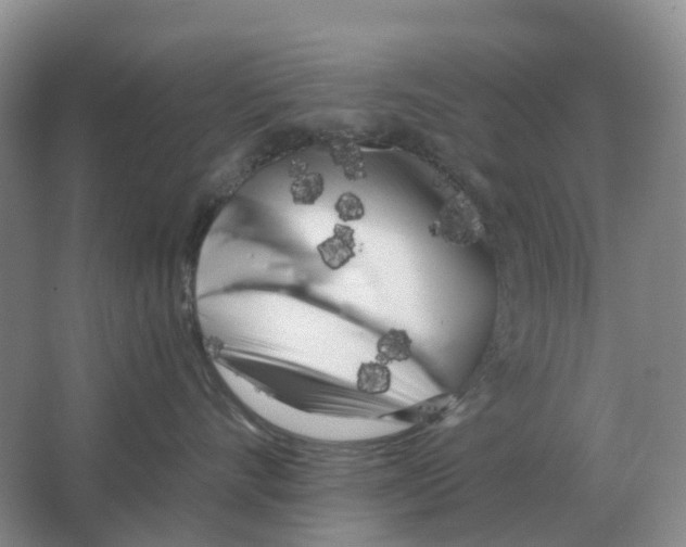 X0000063520528200602172218