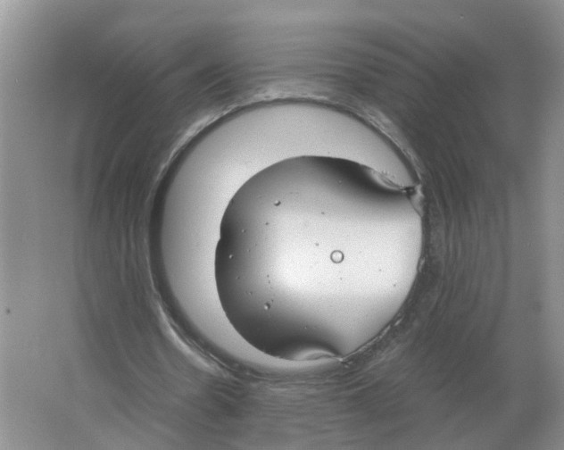 X0000063520530200602172217