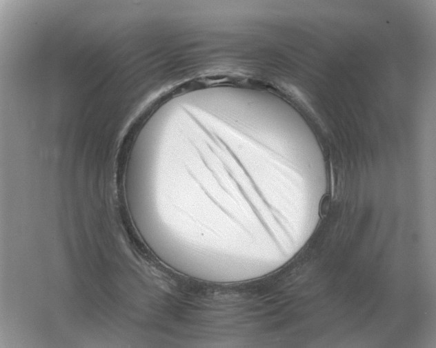 X0000063520531200602172217